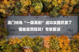 澳门特色“一国两制”成功实践积累了哪些宝贵经验？专家解读