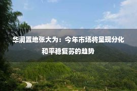 华润置地张大为：今年市场将呈现分化和平稳复苏的趋势