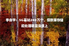 李自学：5G基站240万个，但数据存储和处理明显没跟上