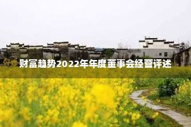 财富趋势2022年年度董事会经营评述