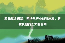 鹏华基金孟昊：坚持从产业趋势出发，寻找长期能长大的公司