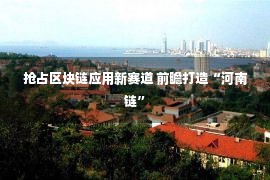 抢占区块链应用新赛道 前瞻打造“河南链”