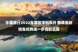 中国银行2022年营收净利双升 跨境金融特色优势进一步得到巩固