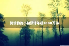 跨境物流小包预计年超3000万件