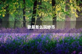 欧易怎么玩炒币