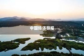 中国经济导报