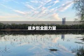 返乡创业新力量