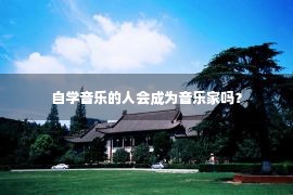 自学音乐的人会成为音乐家吗？