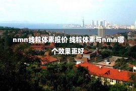 nmn线粒体素报价 线粒体素与nmn哪个效果更好