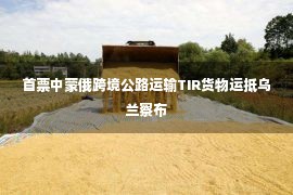 首票中蒙俄跨境公路运输TIR货物运抵乌兰察布