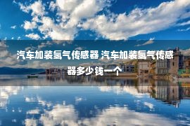 汽车加装氢气传感器 汽车加装氢气传感器多少钱一个