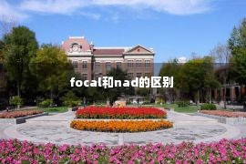 focal和nad的区别 