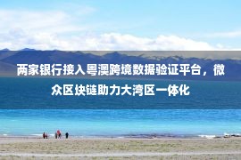 两家银行接入粤澳跨境数据验证平台，微众区块链助力大湾区一体化