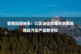 零数科技林乐：以区块链数据共享网络推动汽车产业数字化