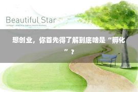 想创业，你首先得了解到底啥是“孵化”？