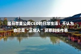 揭开苹果公司CEO的日常生活：不认为自己是“正常人”厌恶科技作恶