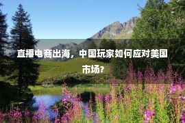 直播电商出海，中国玩家如何应对美国市场？