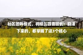 社区团购模式，将经历四面围剿：能活下来的，都掌握了这3个核心