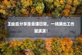 王俊凯分享滑雪课日常，一场演出工作量满满！