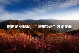 粮油企业崛起，“温州经验”效果显著