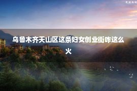 乌鲁木齐天山区这条妇女创业街咋这么火