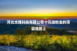 河北文翔科技有限公司十元店创业的项目选择上