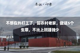 不想在外打工了，回农村老家，做这5个生意，不比上班赚钱少