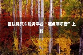 区块链汽车服务平台“迤点嗨尔普”上线