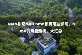 NMN补充NAD nmn都有哪些影响，nmn的可靠动机，大汇总