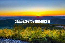 创业慧康4月6日快速回调