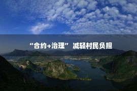 “合约+治理” 减轻村民负担