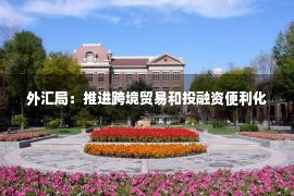 外汇局：推进跨境贸易和投融资便利化