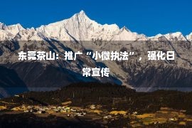 东莞茶山：推广“小微执法”，强化日常宣传