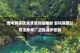 微电网系统需求或持续增加 安科瑞称公司业务推广正在逐步恢复