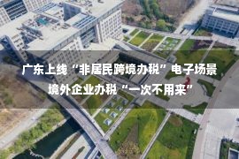 广东上线“非居民跨境办税”电子场景 境外企业办税“一次不用来”