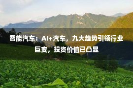 智能汽车：AI+汽车，九大趋势引领行业巨变，投资价值已凸显