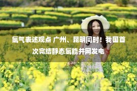 氢气表述观点 广州、昆明同时！我国首次完结静态氢能并网发电