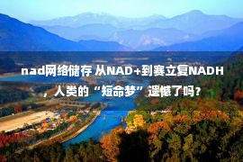 nad网络储存 从NAD+到赛立复NADH，人类的“短命梦”遗憾了吗？