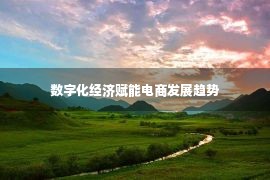 数字化经济赋能电商发展趋势