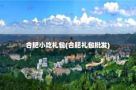 合肥小吃礼包(合肥礼包批发)