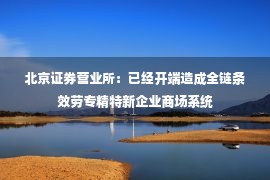 北京证券营业所：已经开端造成全链条效劳专精特新企业商场系统