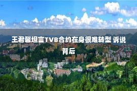 王君馨坦言TVB合约在身很难转型 诉说背后