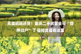 无需迟延还贷！重庆二手房营业可“带押过户”了 操持流程看这里