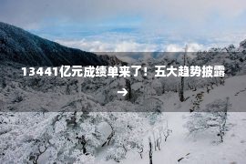 13441亿元成绩单来了！五大趋势披露→