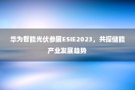 华为智能光伏参展ESIE2023，共探储能产业发展趋势