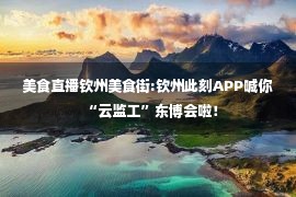 美食直播钦州美食街:钦州此刻APP喊你“云监工”东博会啦！