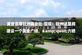 美食直播钦州美食街:围观！钦州这里将建设一个美食广场，&quot;六桥&quot;可能就在旁边……