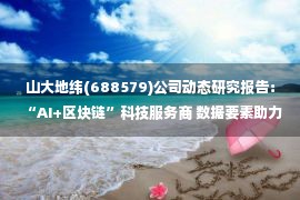 山大地纬(688579)公司动态研究报告：“AI+区块链”科技服务商 数据要素助力新成长