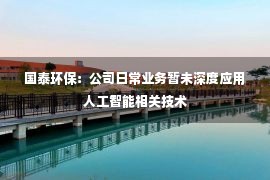 国泰环保：公司日常业务暂未深度应用人工智能相关技术