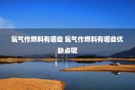 氢气作燃料有哪些 氢气作燃料有哪些优缺点呢